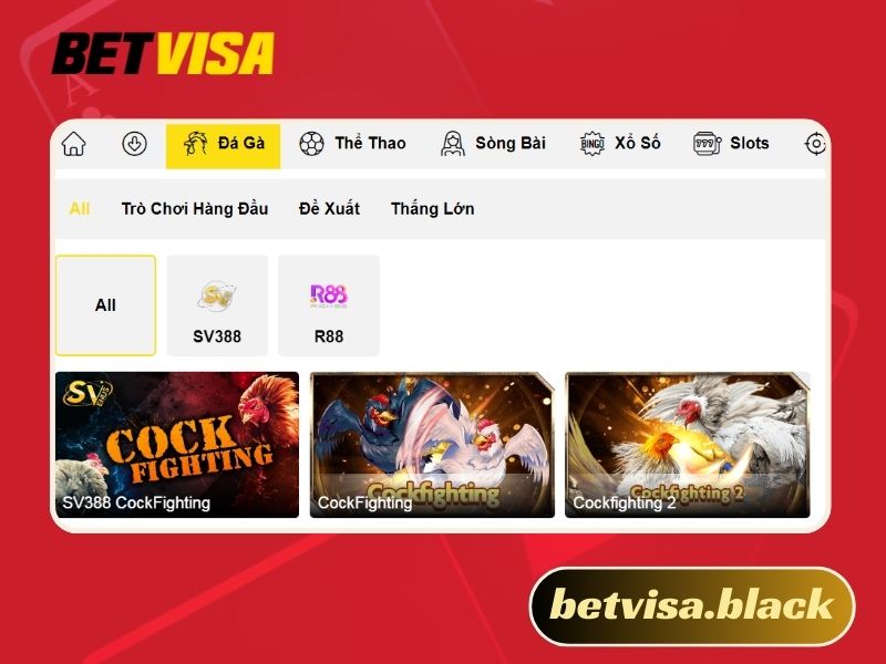 Bet visa