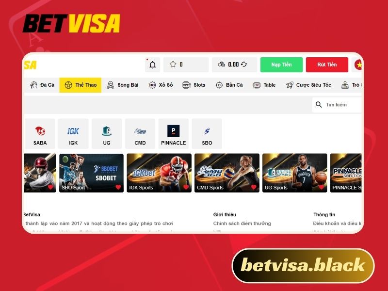 Thể thao Betvisa